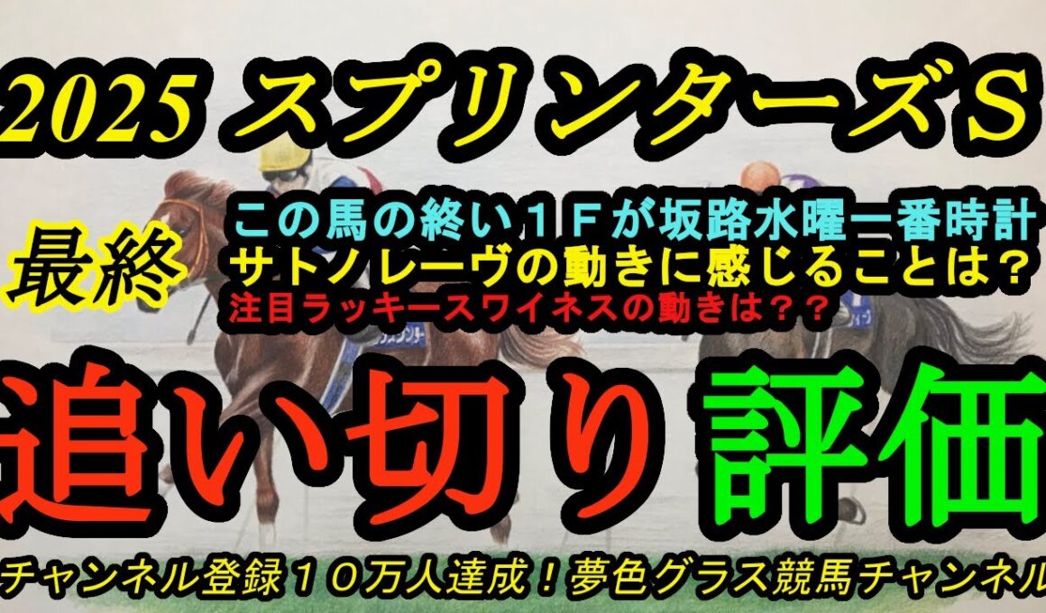 【最終追い切り評価】2025スプリンターズステークス！坂路でラスト1F一番時計を出したのは？サトノレーヴに感じること！ラッキースワイネスの走りは日本にフィットする？