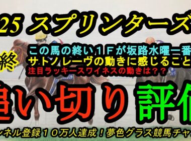 【最終追い切り評価】2025スプリンターズステークス！坂路でラスト1F一番時計を出したのは？サトノレーヴに感じること！ラッキースワイネスの走りは日本にフィットする？