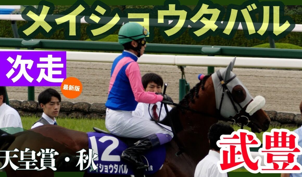 【武豊】次走報！ついに来た！メイショウタバル、武豊で天皇賞・秋！