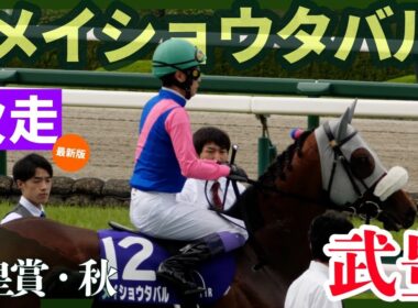 【武豊】次走報！ついに来た！メイショウタバル、武豊で天皇賞・秋！