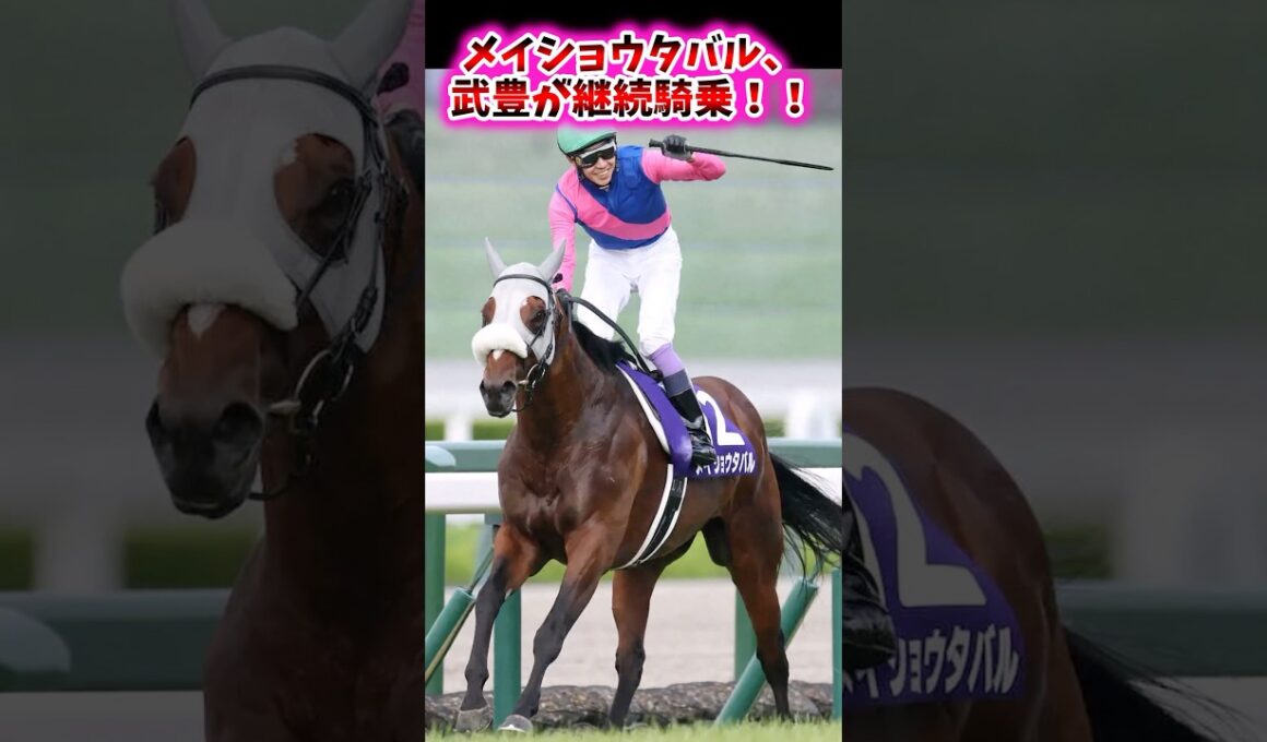メイショウタバル、武豊が継続騎乗！！【競馬反応集】 #メイショウタバル #武豊 #天皇賞秋