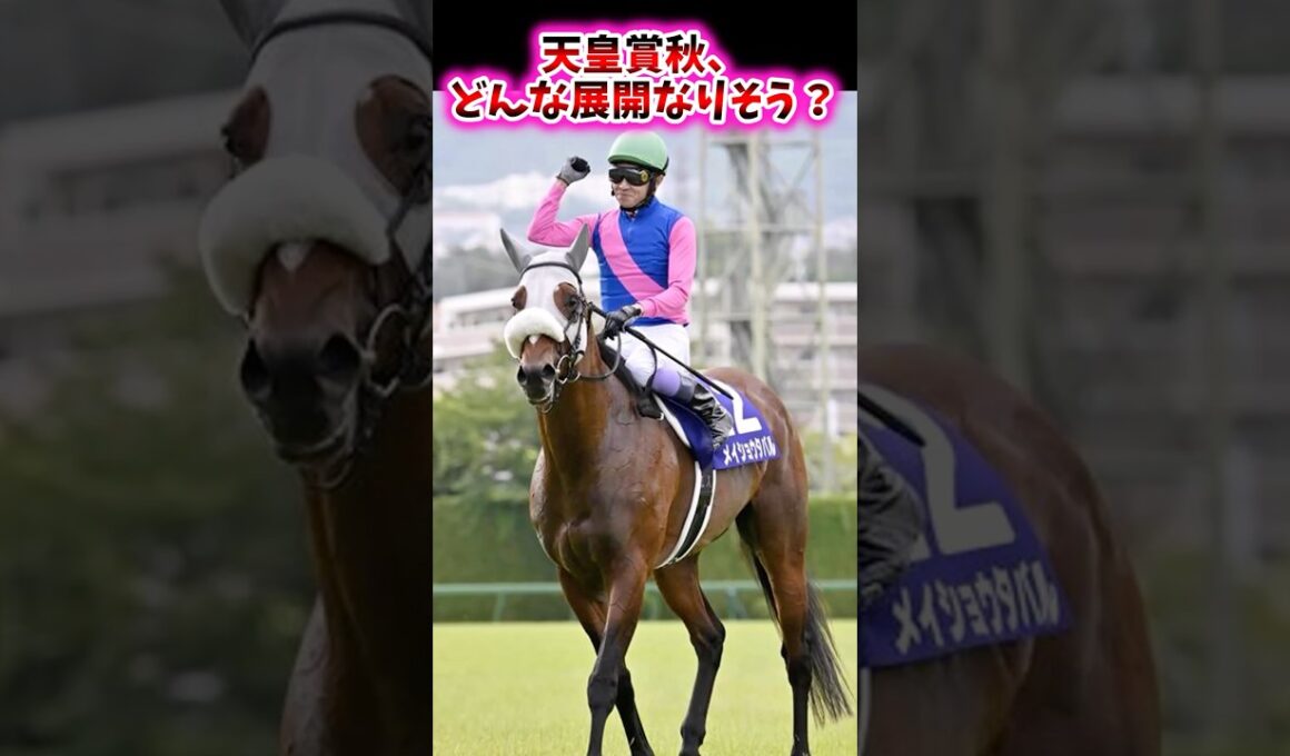 天皇賞秋、どんな展開になりそう？【競馬反応集】 #天皇賞秋 #メイショウタバル #ベラジオオペラ #ジャスティンパレス