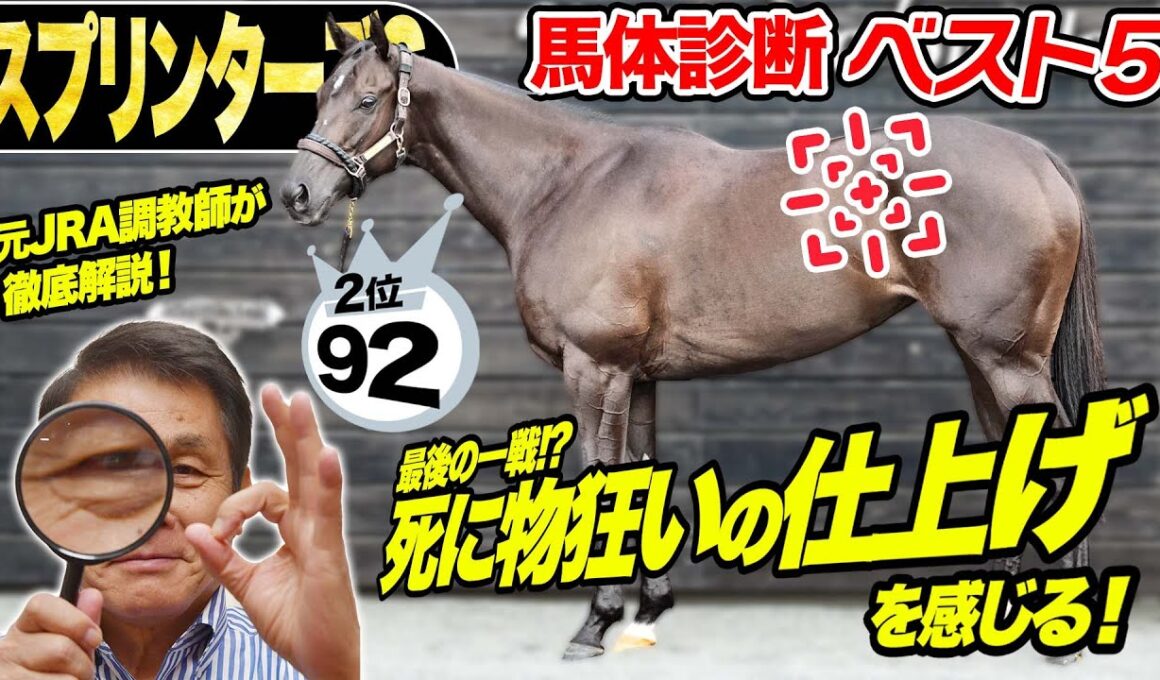 【スプリンターズS2025】中村均元調教師が馬体診断ベスト５を発表　「陣営の死に物狂いの仕上げを感じる」馬とは！？《東スポ競馬》