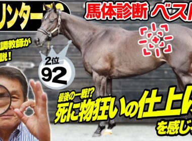 【スプリンターズS2025】中村均元調教師が馬体診断ベスト５を発表　「陣営の死に物狂いの仕上げを感じる」馬とは！？《東スポ競馬》