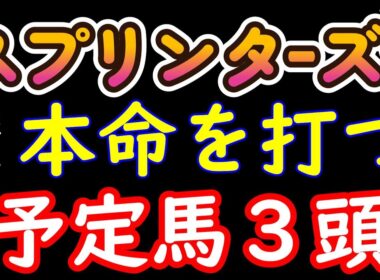 スプリンターズステークス2025はこの３頭に絞った！ナムラクレア・トウシンマカオ・ジューンブレア！この中から本命を打ちたいと考えている！