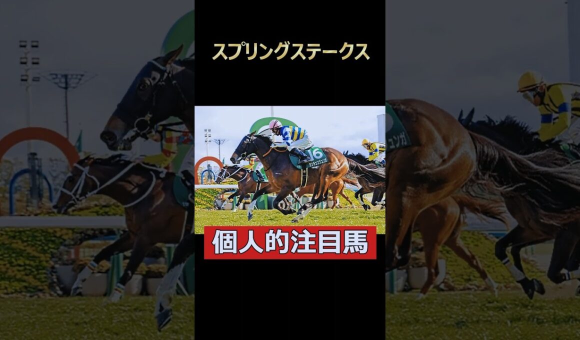 はまった時の末脚はピカイチ！カンチェンジュンガ！#スプリンターズs #スプリンターズステークス