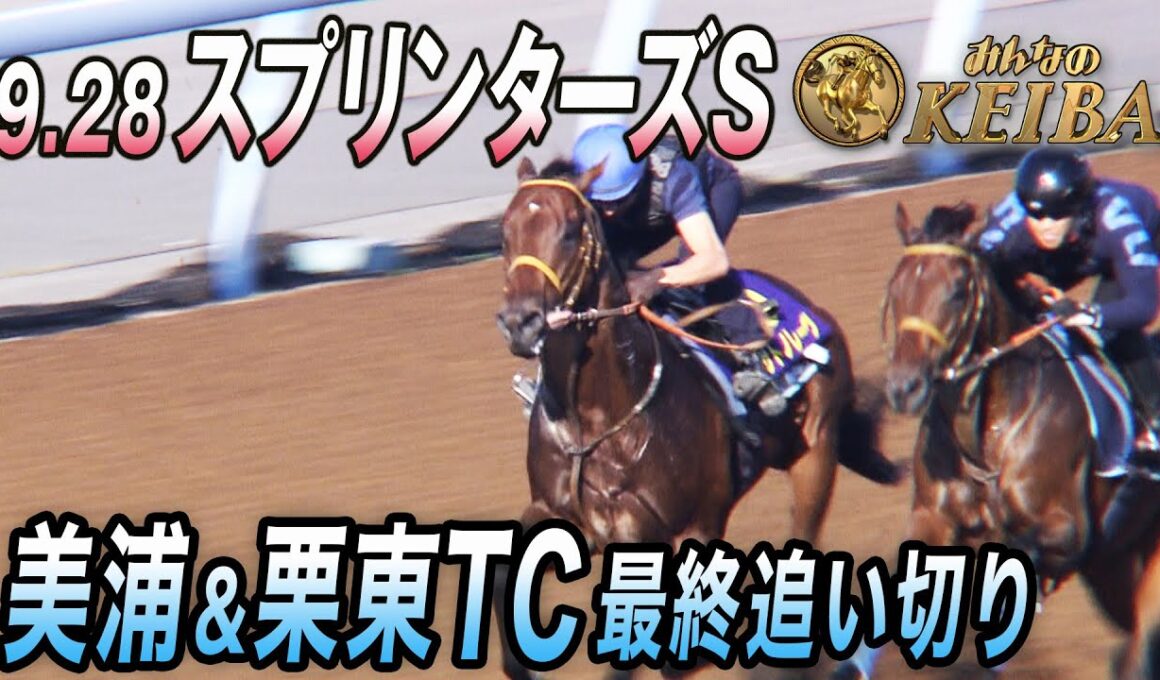 【2025 スプリンターズS・GⅠ】秋GⅠ開幕戦　最終追い切り