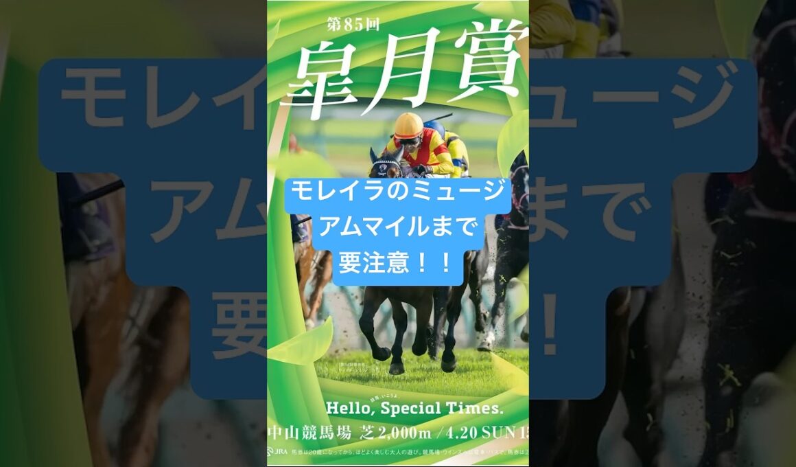 皐月賞 2025 サイン馬券予想  強サインは3頭  #g1  #競馬  #サイン馬券  #cm  #皐月賞