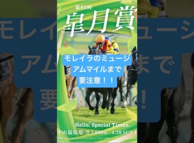 皐月賞 2025 サイン馬券予想  強サインは3頭  #g1  #競馬  #サイン馬券  #cm  #皐月賞