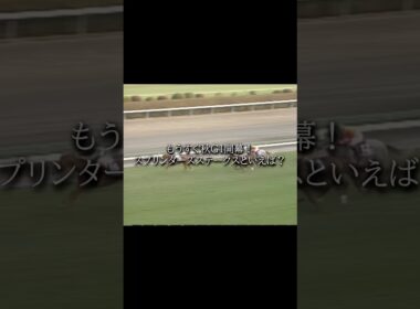スプリンターズステークスと聞いて最初に思い浮かぶレースは？ #競馬 #凱旋門賞 #武豊 #うま娘 #スプリンターズステークス #G1#shorts