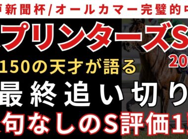 【スプリンターズステークス2025 予想】最終追い切り解説！文句なしのS評価1頭！サトノレーヴの調子は？？？
