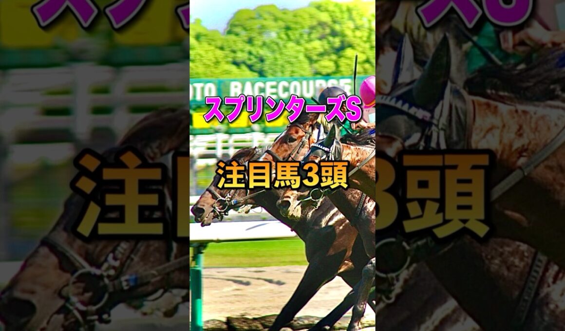 【スプリンターズステークス2025】注目馬3頭