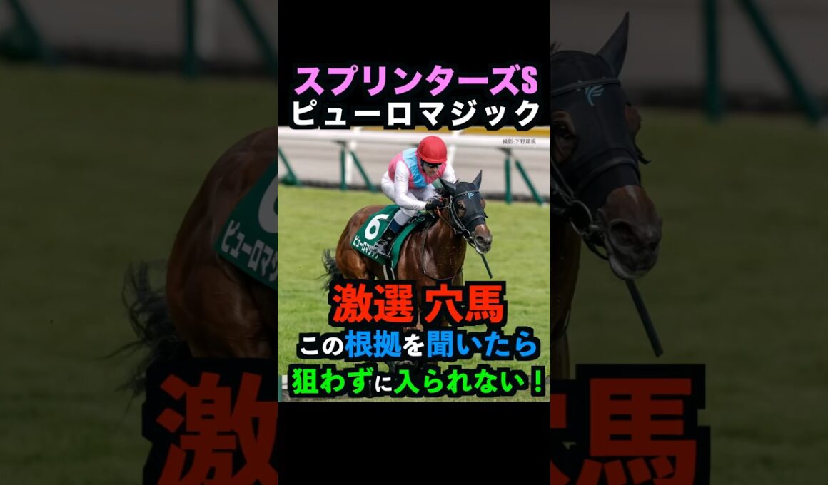 【スプリンターズS2025】激選穴馬推奨！ピューロマジックを必ず押さえるべき理由！#スプリンターズステークス #スプリンターズs #ピューロマジック #競馬予想tv #競馬予想 #shorts
