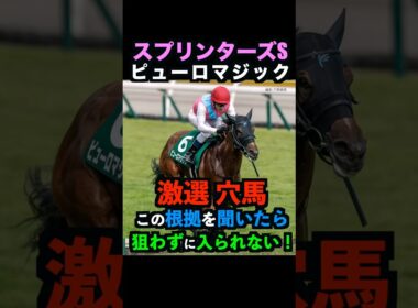 【スプリンターズS2025】激選穴馬推奨！ピューロマジックを必ず押さえるべき理由！#スプリンターズステークス #スプリンターズs #ピューロマジック #競馬予想tv #競馬予想 #shorts
