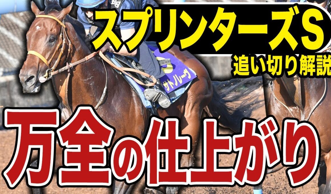 【スプリンターズＳ２０２５】各出走馬の追い切りを東西記者が徹底解説！