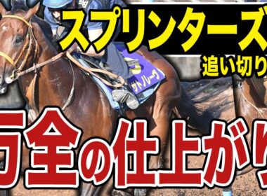 【スプリンターズＳ２０２５】各出走馬の追い切りを東西記者が徹底解説！