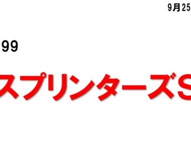 299.スプリンターズＳ　ゲストから考えられること　ＣＭから考えられること