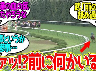 これが競馬の恐ろしいところよ…に対するみんなの反応！【競馬 の反応集】
