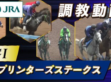 【調教動画】2025年 スプリンターズステークス｜JRA公式