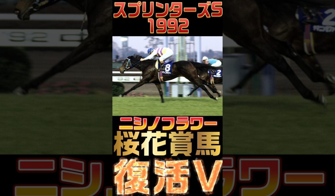 【過去のスプリンターズSプレイバック】桜花賞馬ニシノフラワー復活V #競馬予想 #競馬 #競馬予想 #スプリンターズs  #short #shorts　