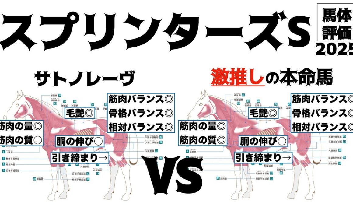 【スプリンターズステークス2025】サトノレーヴどうかなぁ…。本命はこの距離でもイケるっしょ！！馬体。【馬体評価】