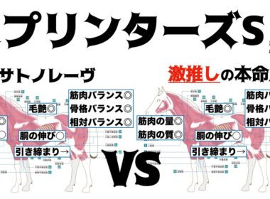 【スプリンターズステークス2025】サトノレーヴどうかなぁ…。本命はこの距離でもイケるっしょ！！馬体。【馬体評価】