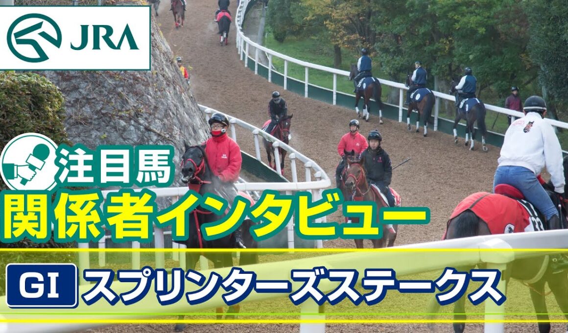 【注目馬 関係者インタビュー】2025年 スプリンターズステークス｜JRA公式