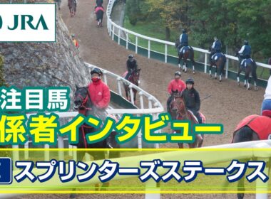 【注目馬 関係者インタビュー】2025年 スプリンターズステークス｜JRA公式
