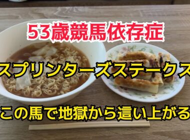 [競馬依存症] 有馬記念に10万円賭けたい男‼️スプリンターズステークスはこの馬で勝負‼️俺を救ってくれ‼️