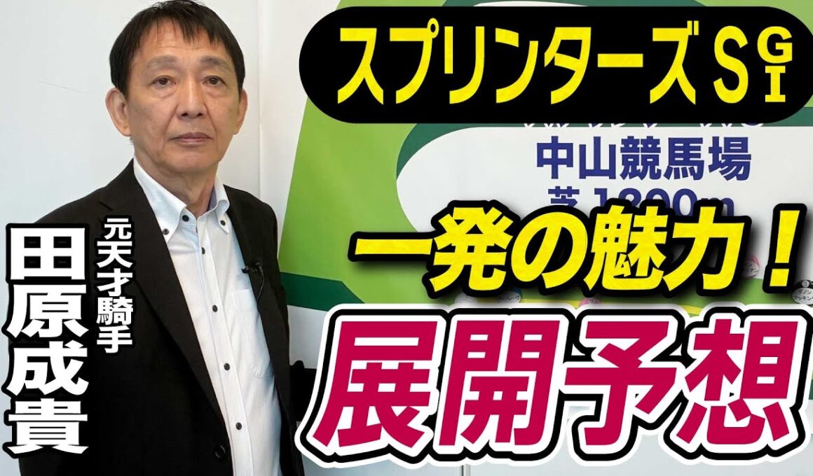 【スプリンターズS2025】田原成貴が展開予想　激走の予感がする《東スポ競馬》