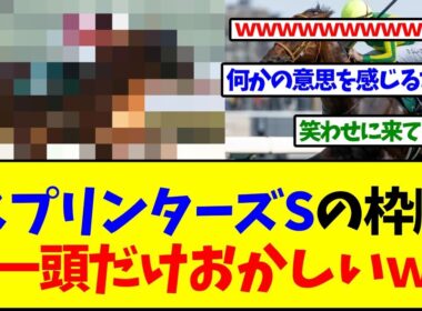 スプリンターズステークス、枠順発表されたけど一頭だけおかしいｗｗｗ【反応集】