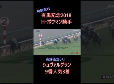 神騎乗TV　H・ボウマン騎手（2018年 有馬記念）元馬術選手のコラム #競馬　#神騎乗