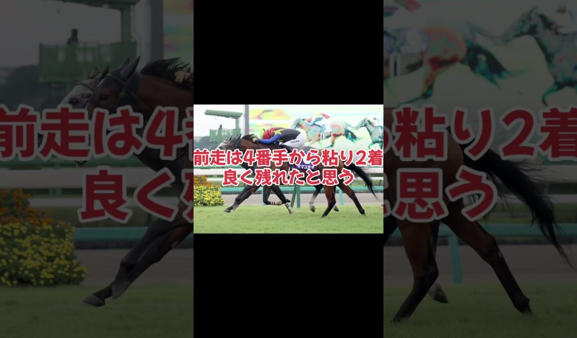 スプリンターズステークス展望 #カンチェンジュンガ #ラッキースワイスネス #ママコチャ #サトノレーヴ #トウシンマカオ