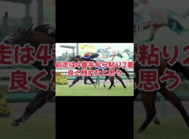 スプリンターズステークス展望 #カンチェンジュンガ #ラッキースワイスネス #ママコチャ #サトノレーヴ #トウシンマカオ