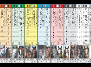 【スプリンターズステークス】さぁ、昨年（三連単的中）以上の払い戻しはこの馬からだ