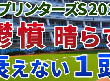 スプリンターズステークス2025 追い切り後【買いの1頭】公開！内前有利の馬場と前哨戦を徹底検証！不運な前走から巻き返し必至の実力馬は？
