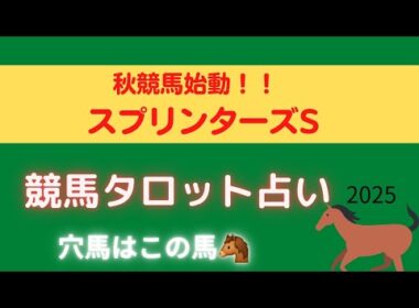 【めっちゃ運気の良い馬いました‼️】スプリンターズステークス競馬タロット占い🏇【今年も当てます🔮】