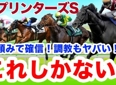 【スプリンターズS】鉄板！枠みて確信！自信の最終見解更新！前日これ買います