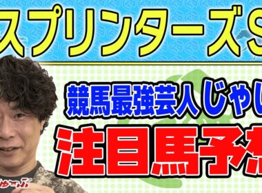 【競馬】スプリンターズSでのじゃいの予想【勝ち馬予想】
