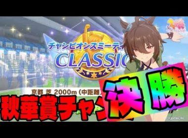 【ウマ娘】秋華賞チャンミ決勝のおとこ【初見さん歓迎】