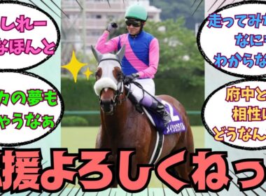 【メイショウタバル】天皇賞秋2025に出走！鞍上は武豊さん！に対する競馬好きの反応【競馬の反応集】