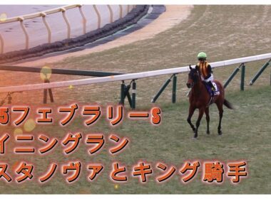2025年フェブラリーステークスのウイニングラン。コスタノヴァとキング騎手