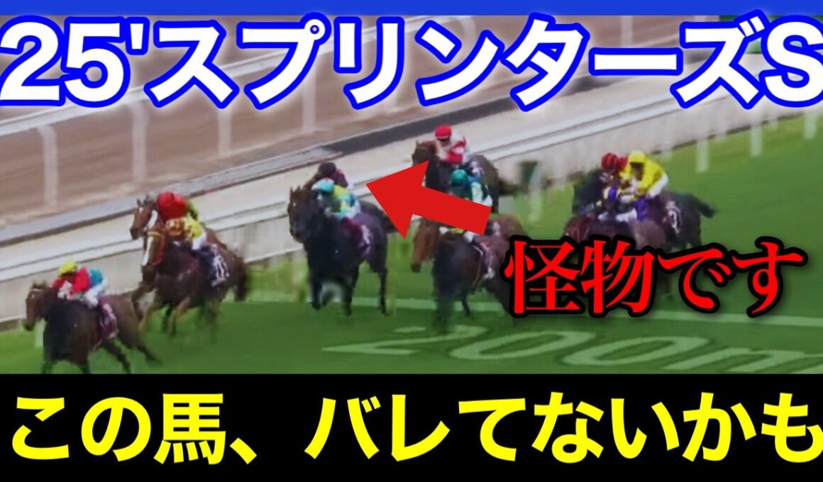 この中に適性能力すべての項目で完璧な馬が2頭だけいます🏇🔥【スプリンターズステークス2025】