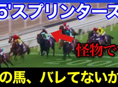 この中に適性能力すべての項目で完璧な馬が2頭だけいます🏇🔥【スプリンターズステークス2025】