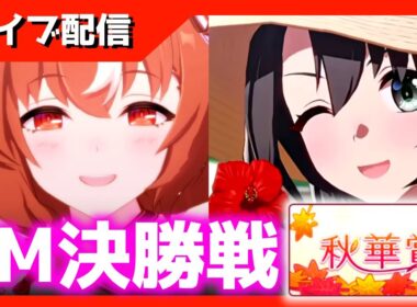 【チャンミ決勝】23時出走　秋華賞/京都2000ｍ【スナイプ歓迎】　＃ウマ娘