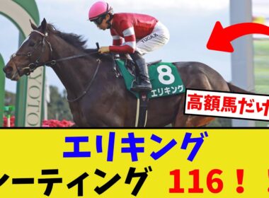 エリキングってようやっとるよな【競馬反応集】