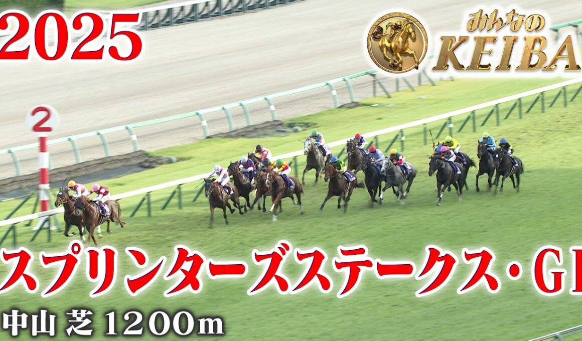 【スプリンターズステークス・ＧⅠ】スプリンターズS 中山 芝 1200m 2025 レース  【みんなのKEIBA】
