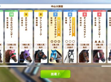 【ウマ娘風競馬MAD】第140回J・GⅠ中山大障害(2017)