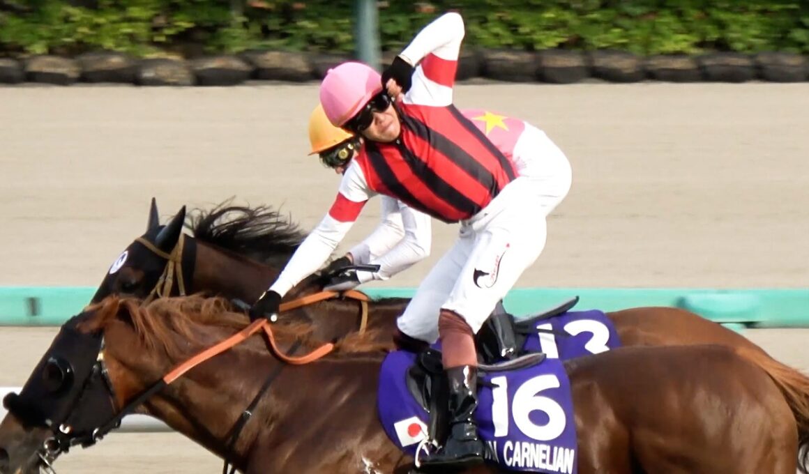 【スプリンターズステークス2025】三浦皇成 127度目の挑戦で初GⅠ勝利‼ 場内から皇成コール‼ 騎手仲間やターフ 場内から祝福の嵐‼ 現地映像 ウインカーネリアン