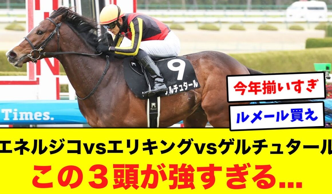 菊花賞はコイツら３頭の勝負になる！？に対するネット民の反応集【競馬】【エネルジコ】【エリキング】【ゲルチュタール】